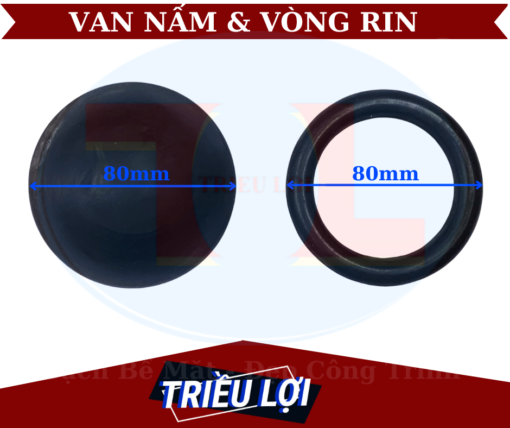 Van nấm và vòng rin