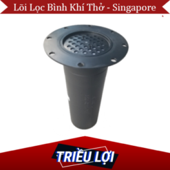 Lõi lọc khí thở - Singapore